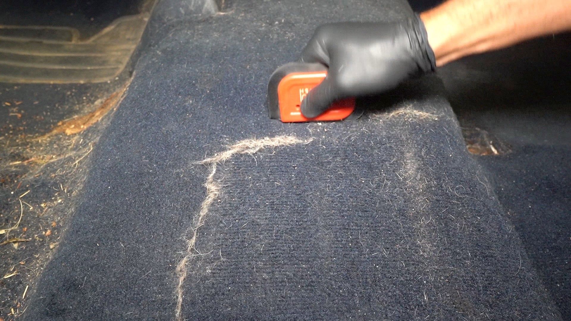 Canadian tire lilly brush mini removes pet hair easily from interior vehicle upholstery